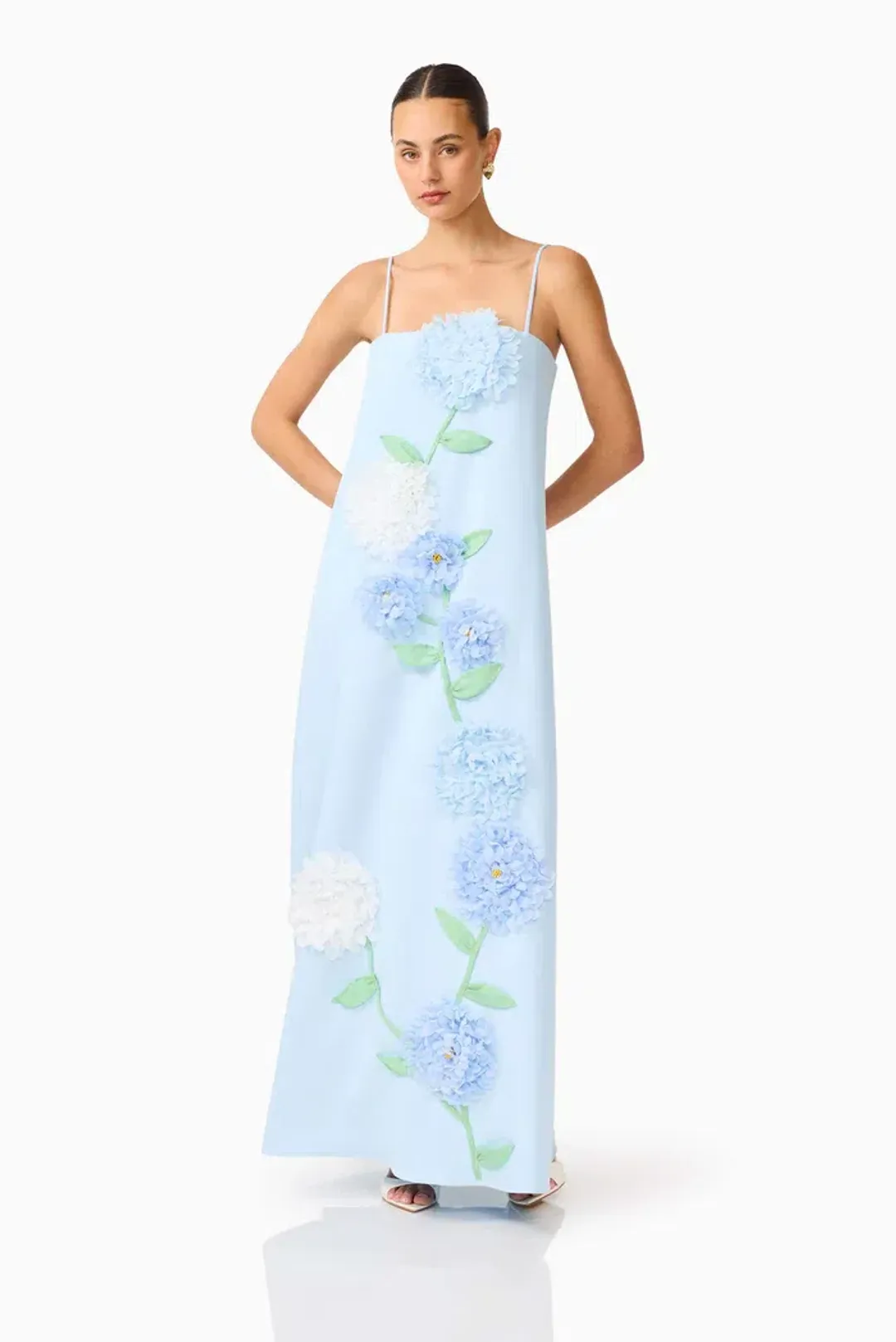 Elliatt Buttercup Embroidered Maxi Dress In Blue Size 14 for rent on The Volte - main image