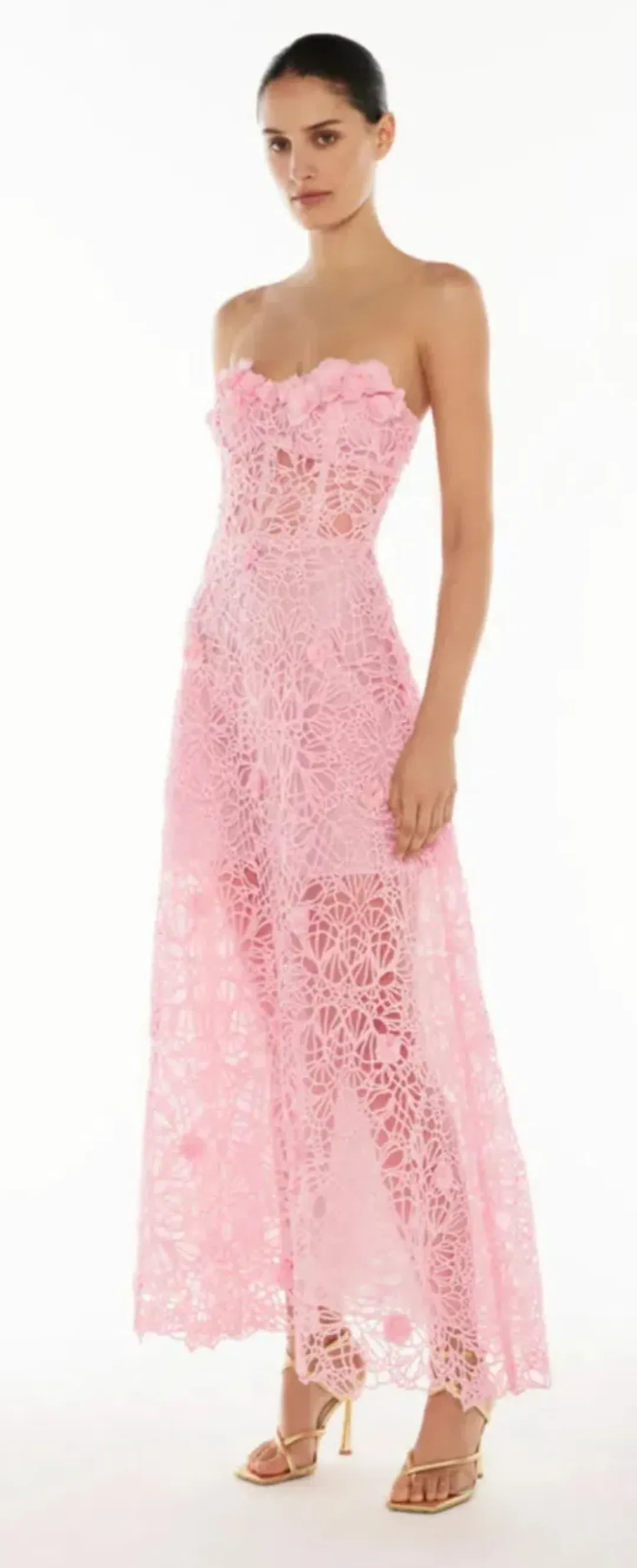 Manning Cartell Tea Ceremony Maxi Dress for rent on The Volte - main image