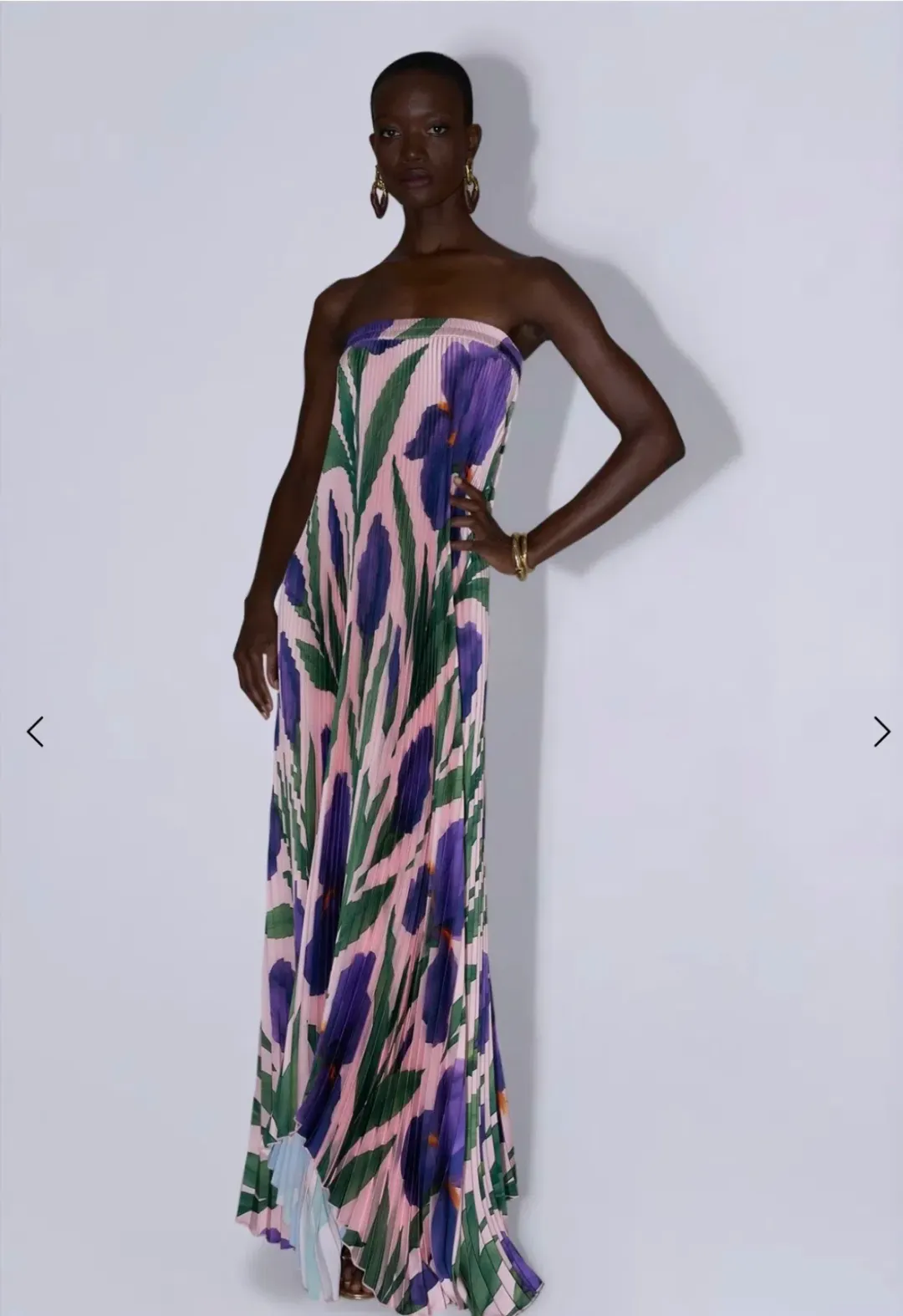 L’IDEE BISOUS STRAPLESS GOWN - IRIS GARDEN for rent on The Volte - main image
