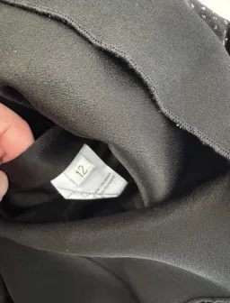 Alex Perry Raine Velvet Crystal Mini Dress Black Size 12  RRP $3,800 for rent on The Volte - image 3