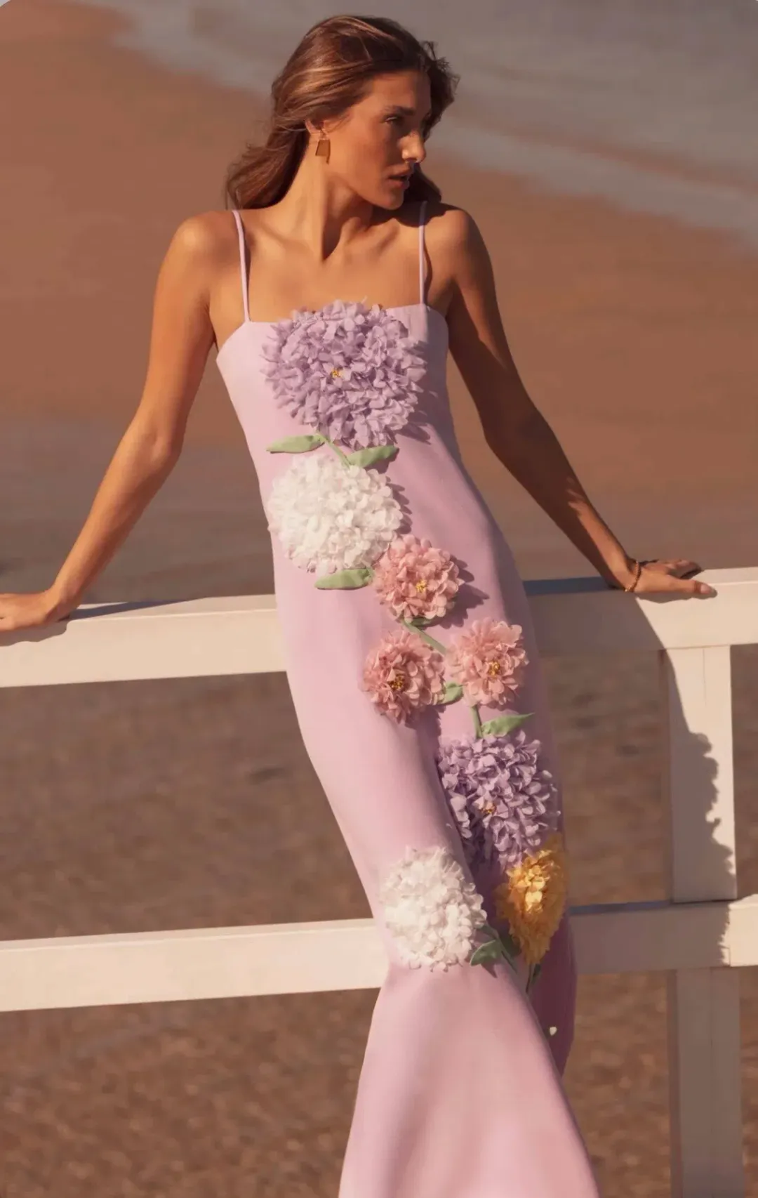 Elliatt Buttercup Embroidered Maxi Dress in Purple Size XS for rent on The Volte - main image