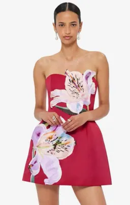 Leo Lin Rosario Appliqué Bustier Mini Dress - Lily Print in Oxblood Size 12 for rent on The Volte - image 6