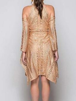 Thurley Sonnet Gold Mini Dress for rent on The Volte - image 1
