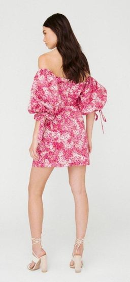 Sheike Ditsy Mini Dress Pink Floral Size 10 for rent on The Volte - image 2