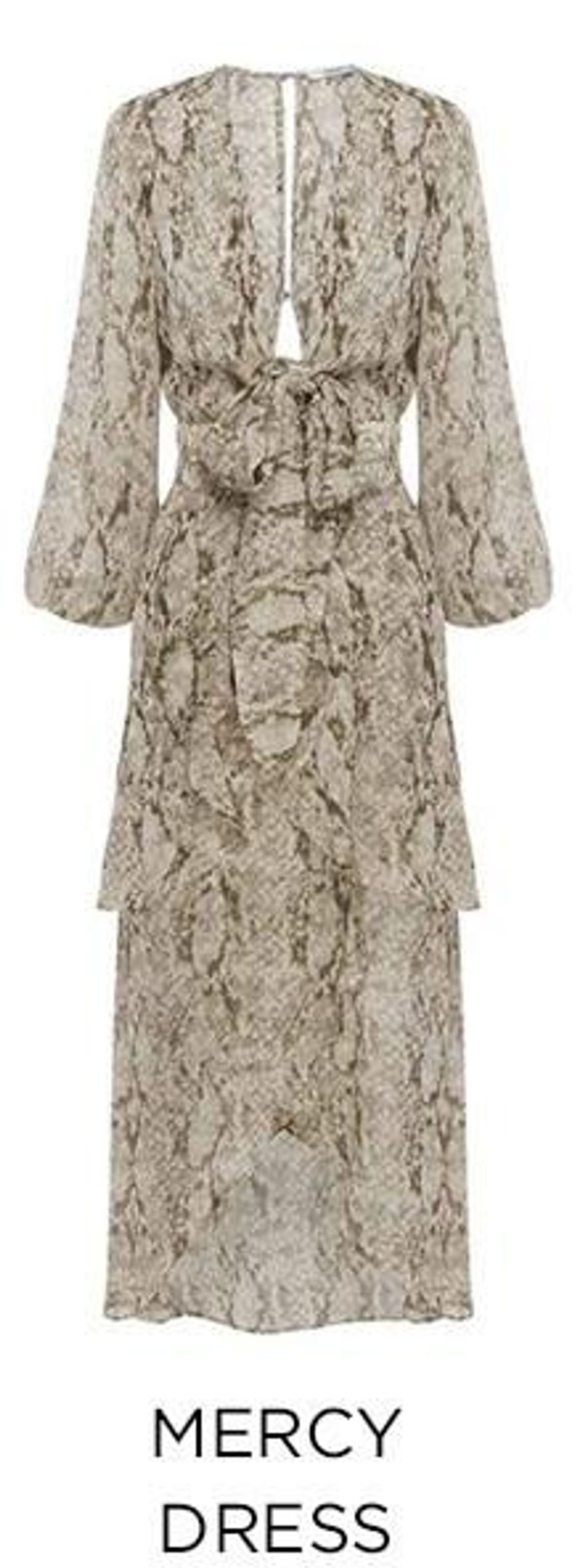 Mercy Sheike Dress for rent on The Volte - main image