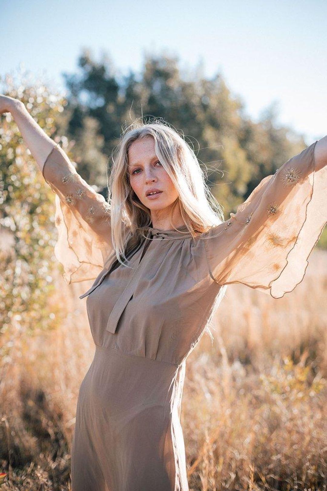 Chasing Unicorns Lucy in the Sky Cape Sleeve Dress Brown Size 8  for rent on The Volte - main image