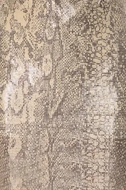 Misha Leda Glo Mesh Mini Dress Snakeskin Print Size 8 for rent on The Volte - image 3