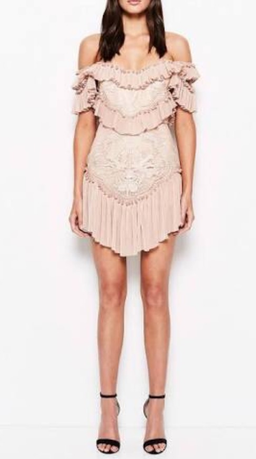 Alice McCall - lovebirds dress pink sz 8 for rent on The Volte - image 1