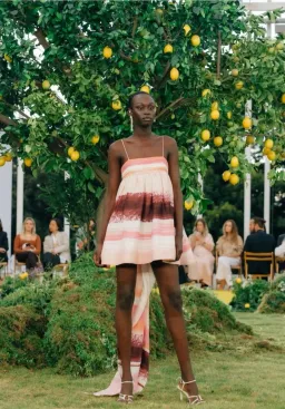 Aje Kasbah Sunset Stripe Ruched Bow Back Mini Dress Print Size 6 for rent on The Volte - image 5