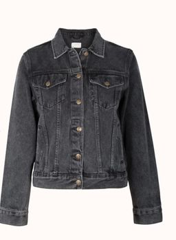 In Flight Jacket Auguste the Label for rent on The Volte - image 3