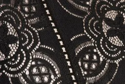 Flannel Chantilly Dress for rent on The Volte - image 3