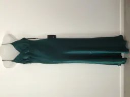 Bazblu  for rent on The Volte - image 3