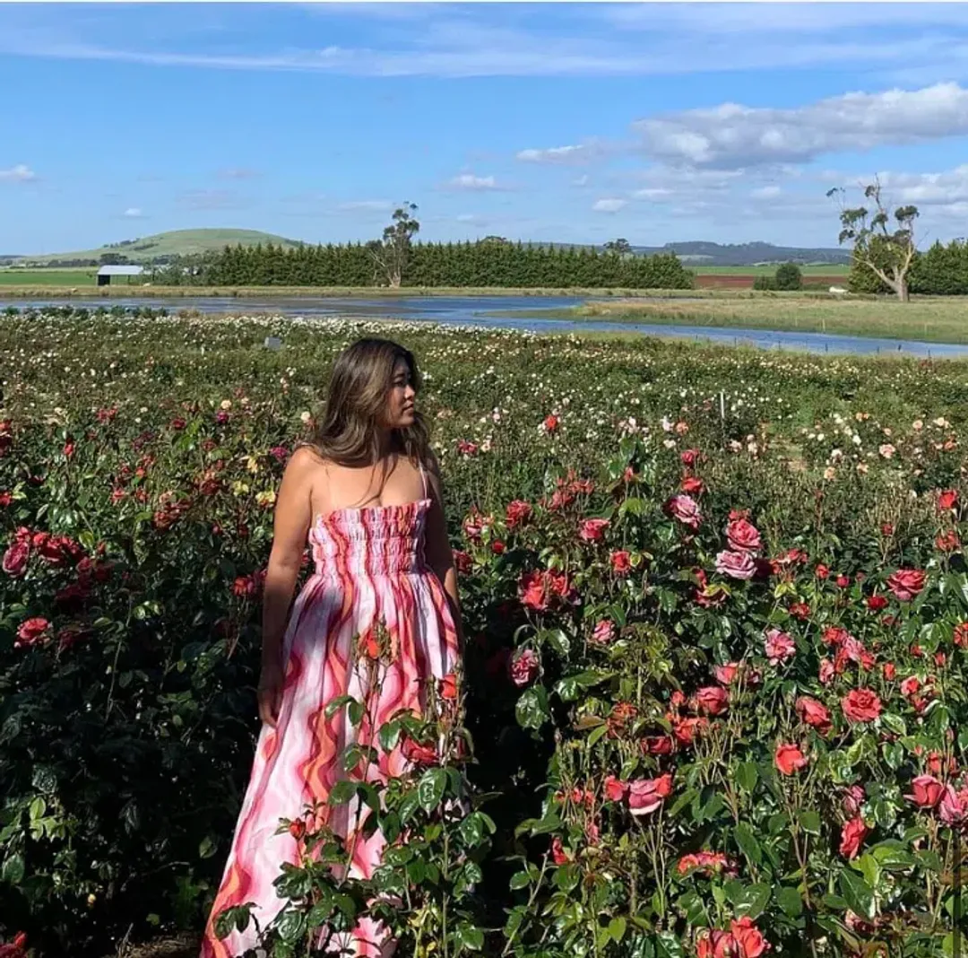 Steele Mirabella Dress Groovy Size 8 for rent on The Volte - main image