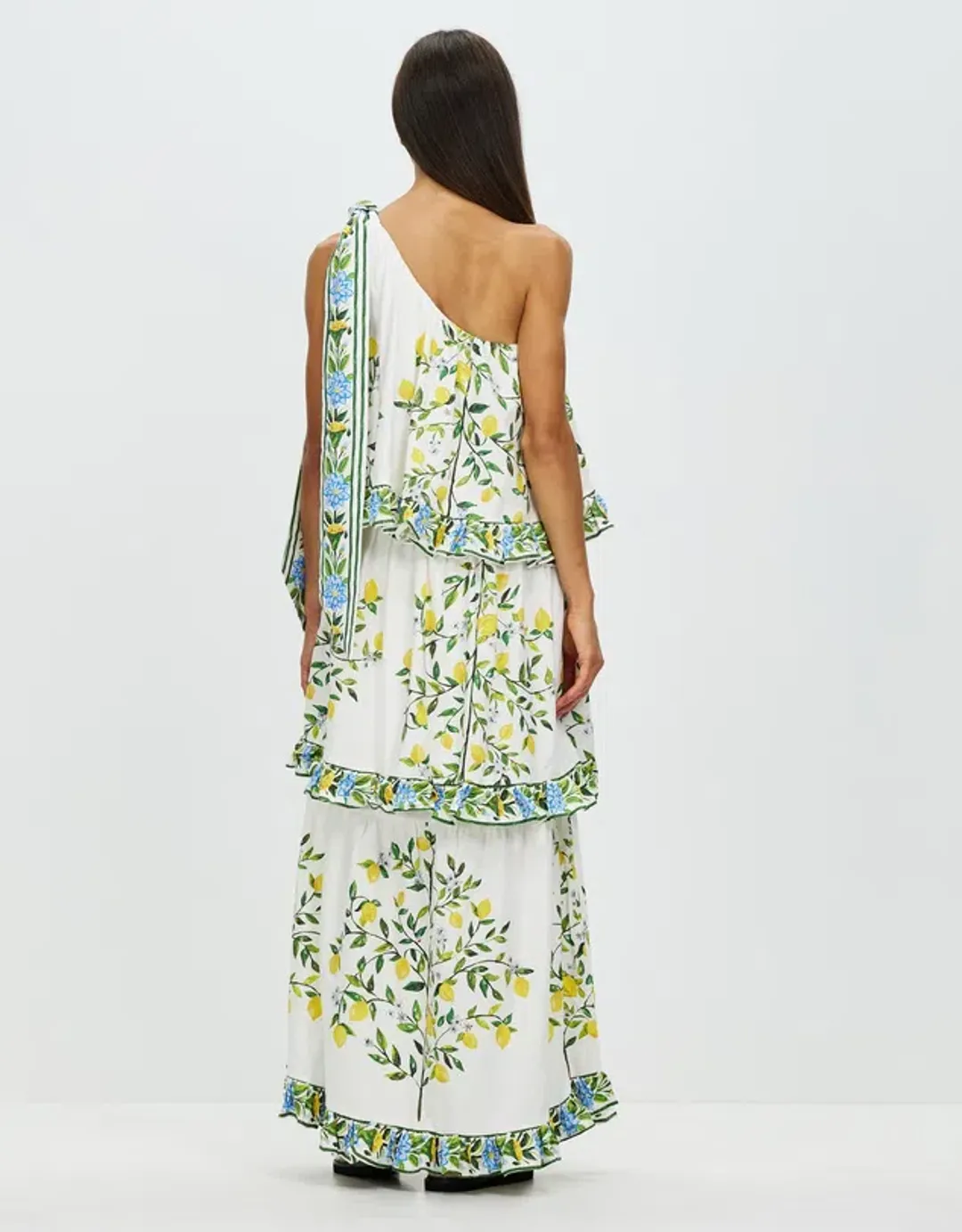 Binny You & Me in Capri Maxi Dress Print Size 12 for rent on The Volte - main image