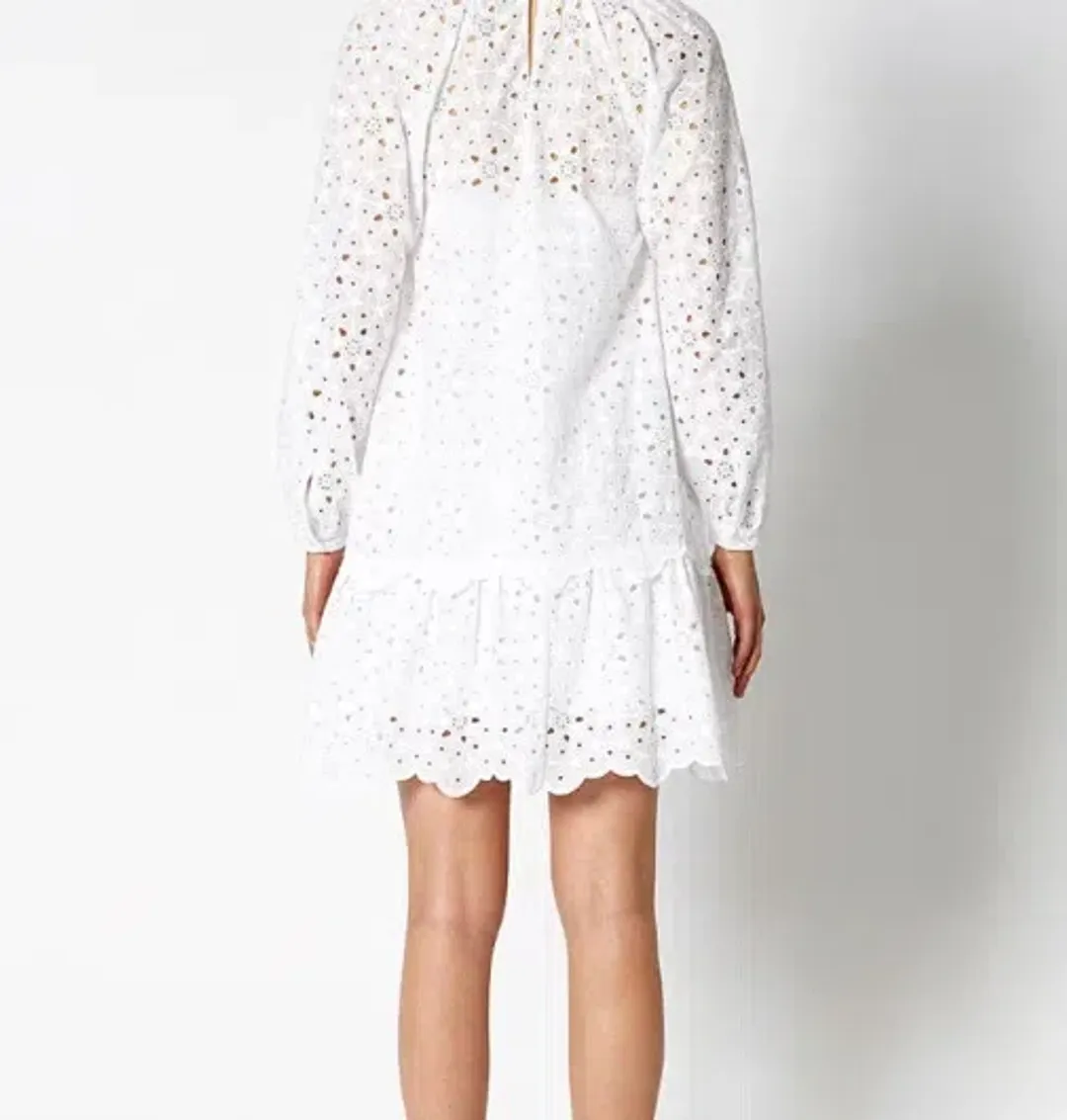 Scanlan Theodore Embroidered Cotton Mini Dress White Size 8 for rent on The Volte - main image