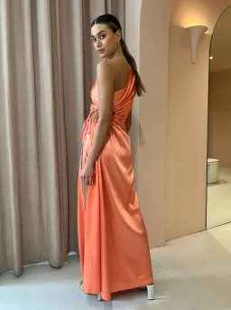 Sonya Moda Nour Maxi Dress Peach Size 6 / XS for rent on The Volte - image 3