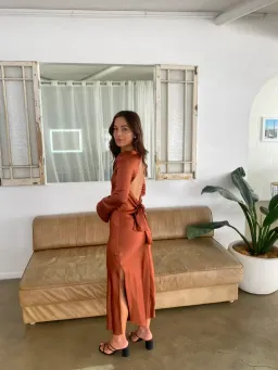 Third Form Tie Back Maxi Bias Dress in Sienna Brown Size 6 for rent on The Volte - image 3