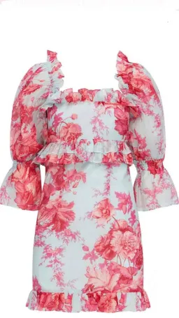 Alice McCall Flamingo Mini Dress Print Size 6 for rent on The Volte - image 4