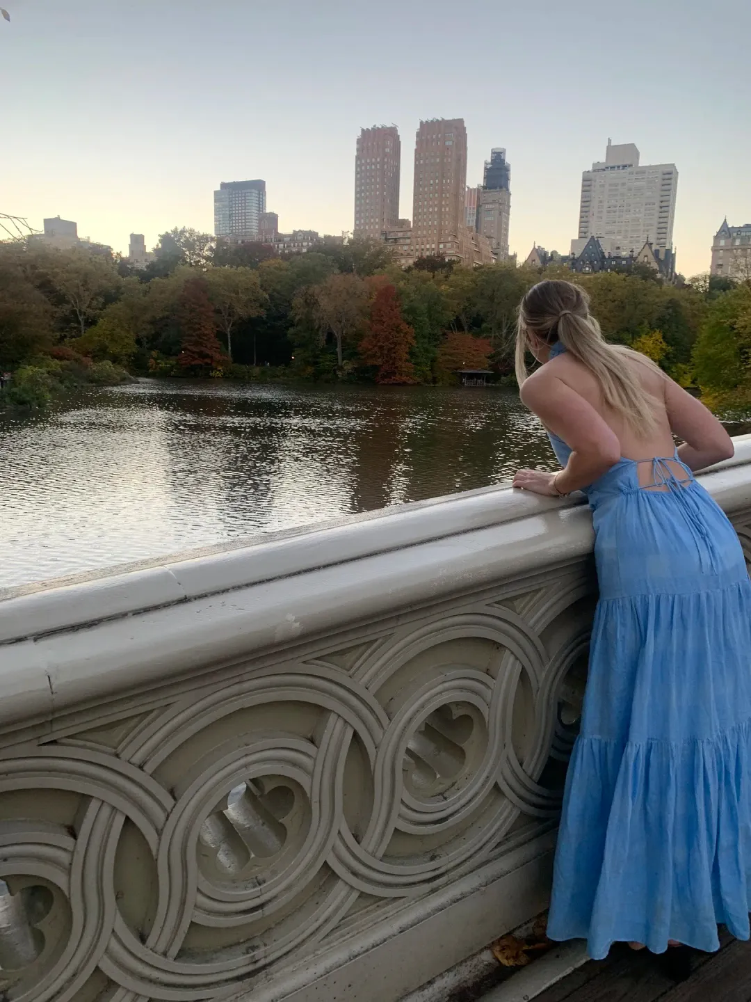 Significant Other Hunter Dress Marina Blue Size 8  for rent on The Volte - main image