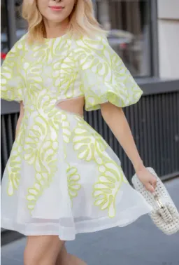 Aje Botanical Applique Mini Dress Ivory/Citrus Yellow Size 10 / M for rent on The Volte - image 5