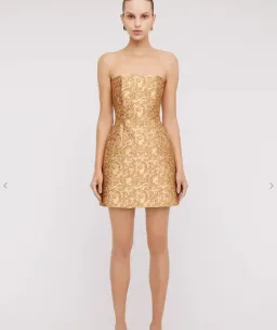 Scanlan Theodore Brocade Mini Dress Gold Size 6 for rent on The Volte - image 1