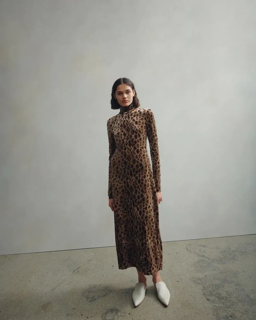 Camilla and Marc Basie Dress Print Size 6 for rent on The Volte - main image