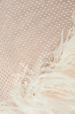 Leslie Amon Laurie Crystal-Embellished Feather-Trimmed Mini Dress Size S / AU 6-8 for rent on The Volte - image 4