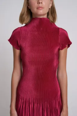 L'idée Aperitif Mini Dress in Ruby Red Size 12 / L for rent on The Volte - image 4