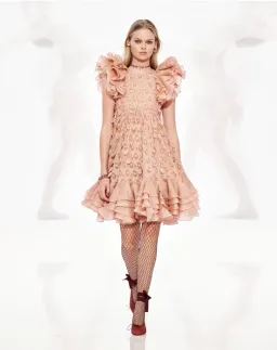 Zimmermann The Dancer Frilled Mini Dress in Blush Size 1 (AU 10) for rent on The Volte - image 5