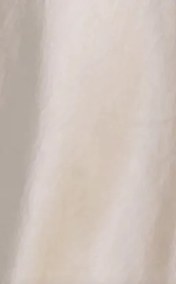 Bec & Bridge The Dreamer Strapless Maxi Dress in Sand Size 10 / M for rent on The Volte - image 3