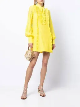 Alice McCall Lover Girl Mini Dress Yellow Size 8 for rent on The Volte - image 3
