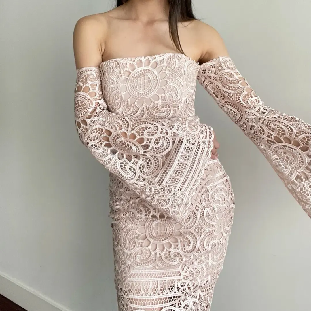 Nicholas Eva Geo Floral Lace Strapless Dress Antique Pink Size 0 / Au 6 for rent on The Volte - main image