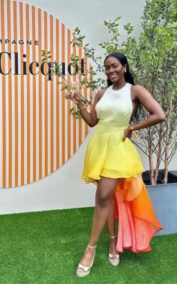 Zimmermann Wonderland Waterfall Dress Multi Size 1 / Au 10 for rent on The Volte - image 2