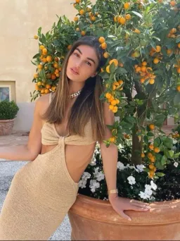 Cult Gaia Serita Dress Sand Size AU 6 for rent on The Volte - image 4