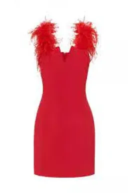 Rebecca Vallance Scarlett Feather Mini Dress Red Size AU 6 for rent on The Volte - image 3