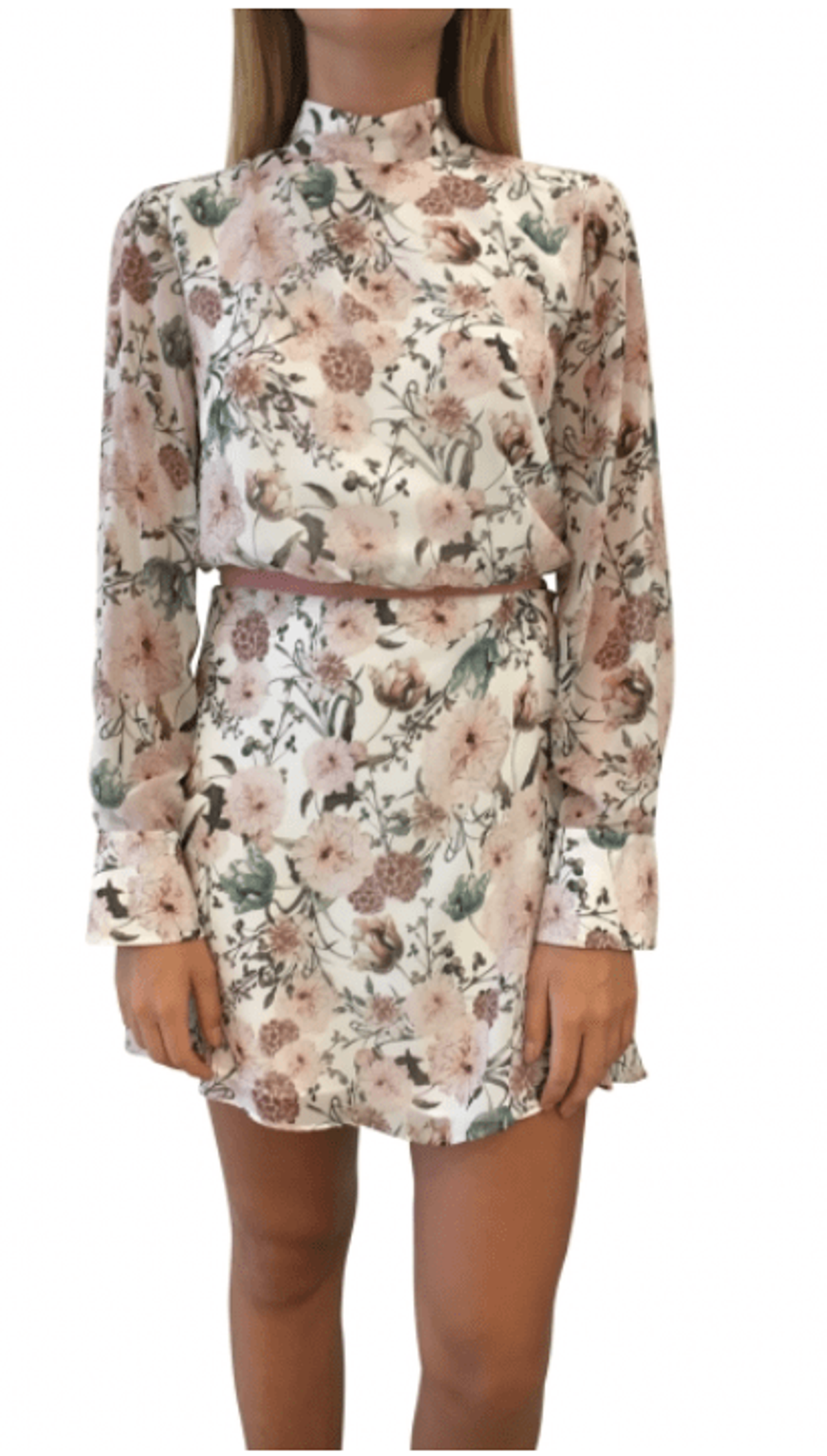 Camilla and Marc Evie Mini Dress for rent on The Volte - main image