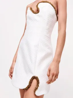 Rachel Gilbert Raff Mini Dress Ivory Size 2/Au 10 for rent on The Volte - image 2