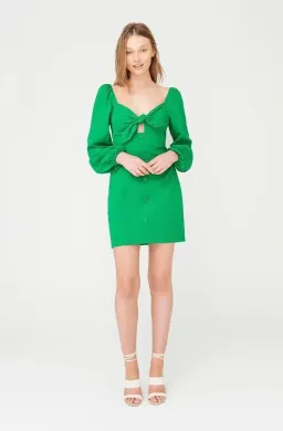 Sheike Green With Envy Mini Dress Size 12 for rent on The Volte - image 1