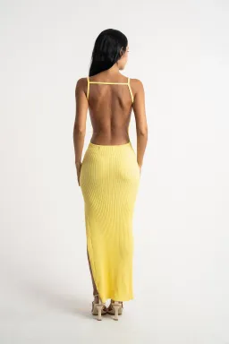 Isabelle Quinn Millie Maxi Dress Yellow Size 6 for rent on The Volte - image 3
