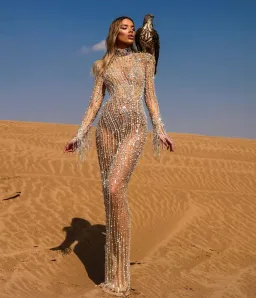 Albina Dyla Deserte Beaded Dress With Tassel Cuffs Size 6 for rent on The Volte - image 1