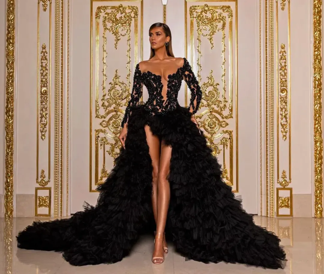 Albina Dyla Beaded Bodice Full Tulle Dress Black Size 6 for rent on The Volte - main image