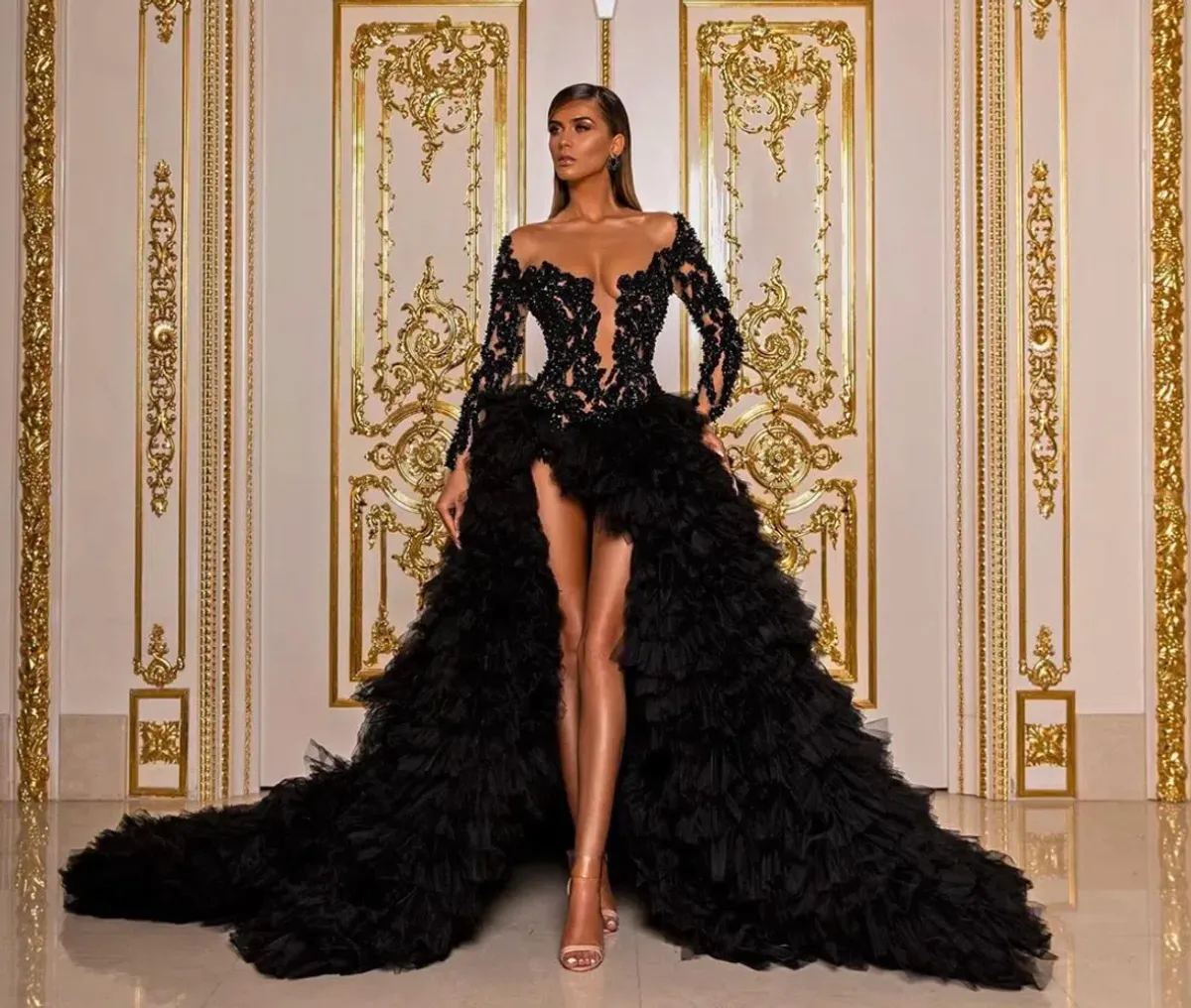 Albina Dyla Beaded Bodice Full Tulle Dress Black Size 6 for rent on The Volte - main image