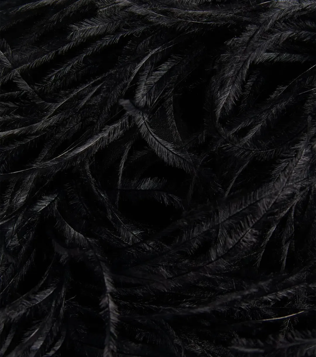 16Arlington Botley Madrid Crepe Mini Dress Black Feather-Trim Size 8 for rent on The Volte - main image