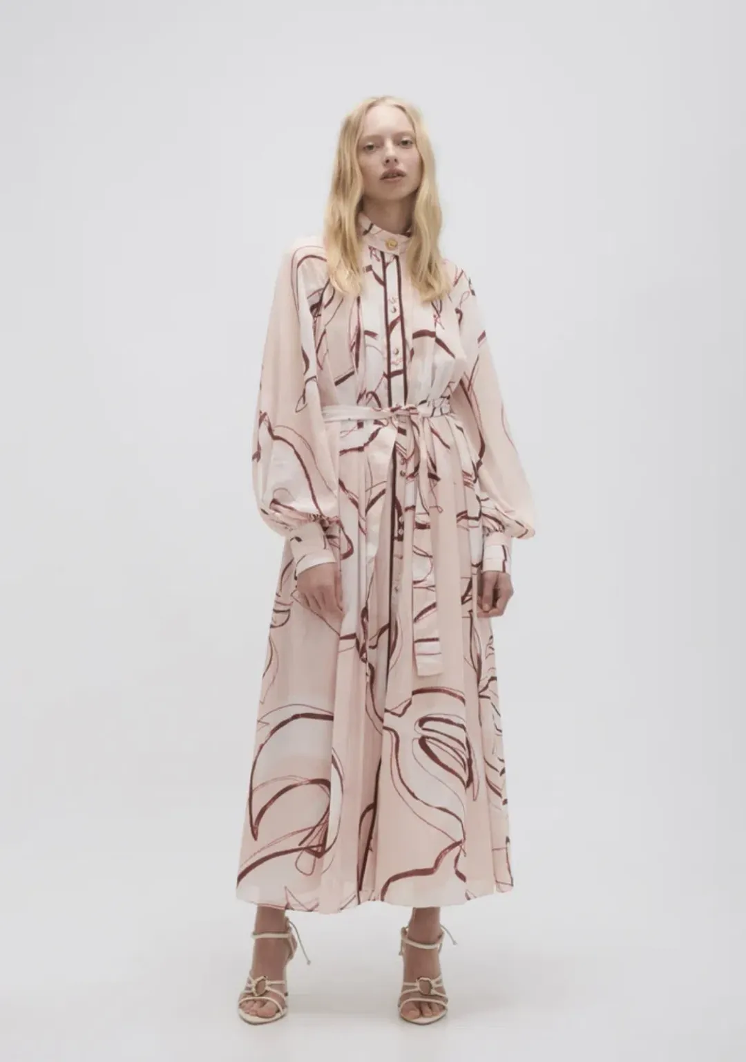 Aje Beatrice Pleated Midi Dress Whimsical Dove Print Size 12 for rent on The Volte - main image