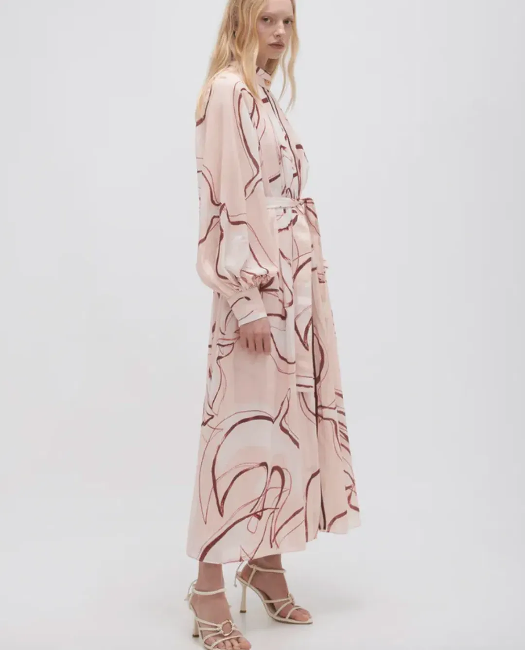 Aje Beatrice Pleated Midi Dress in Whimsical Dove Print Size S / AU 8 for rent on The Volte - main image