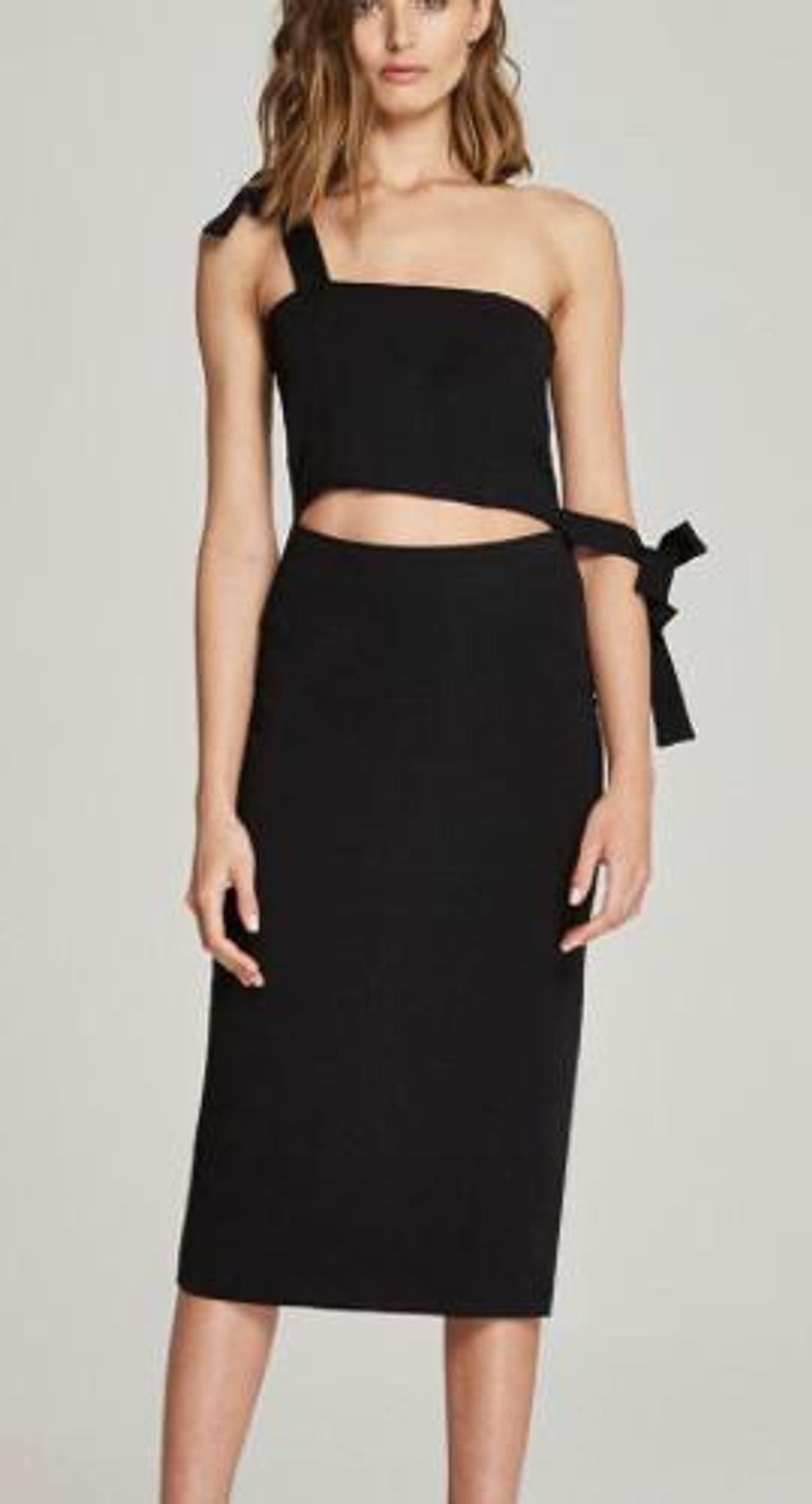 Maurie and Eve Winter Rose for rent on The Volte - main image