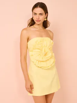 Issy Rose Bodice Mini Dress in Citrus Size 10 for rent on The Volte - image 2