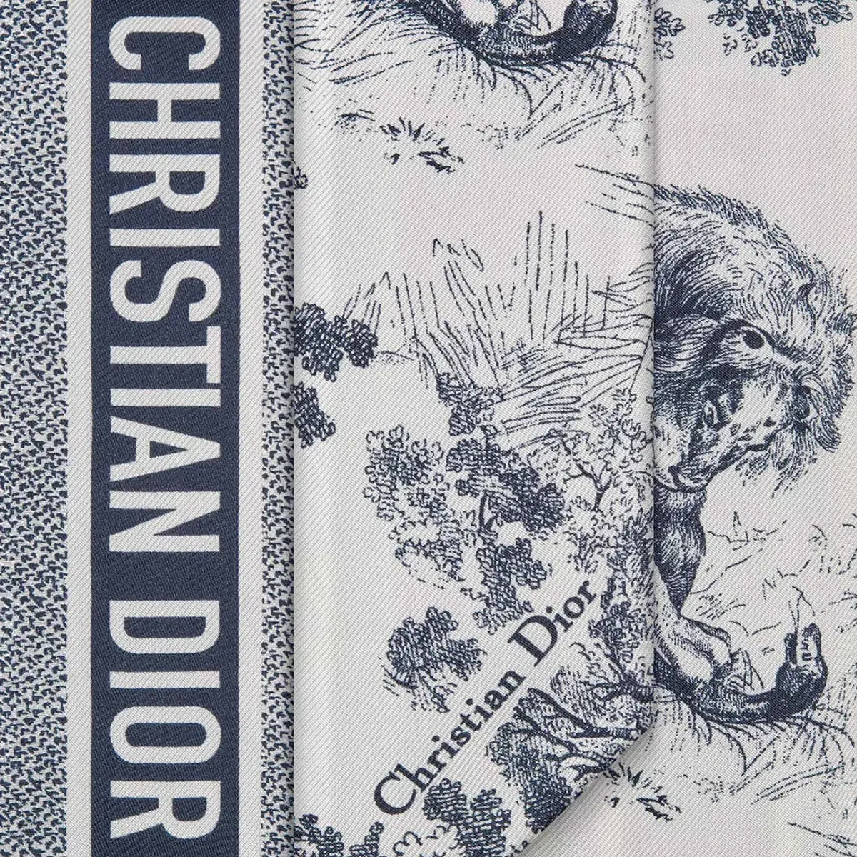 Dior Toile De Jouy Sauvage Mitzah Scarf - Image 3