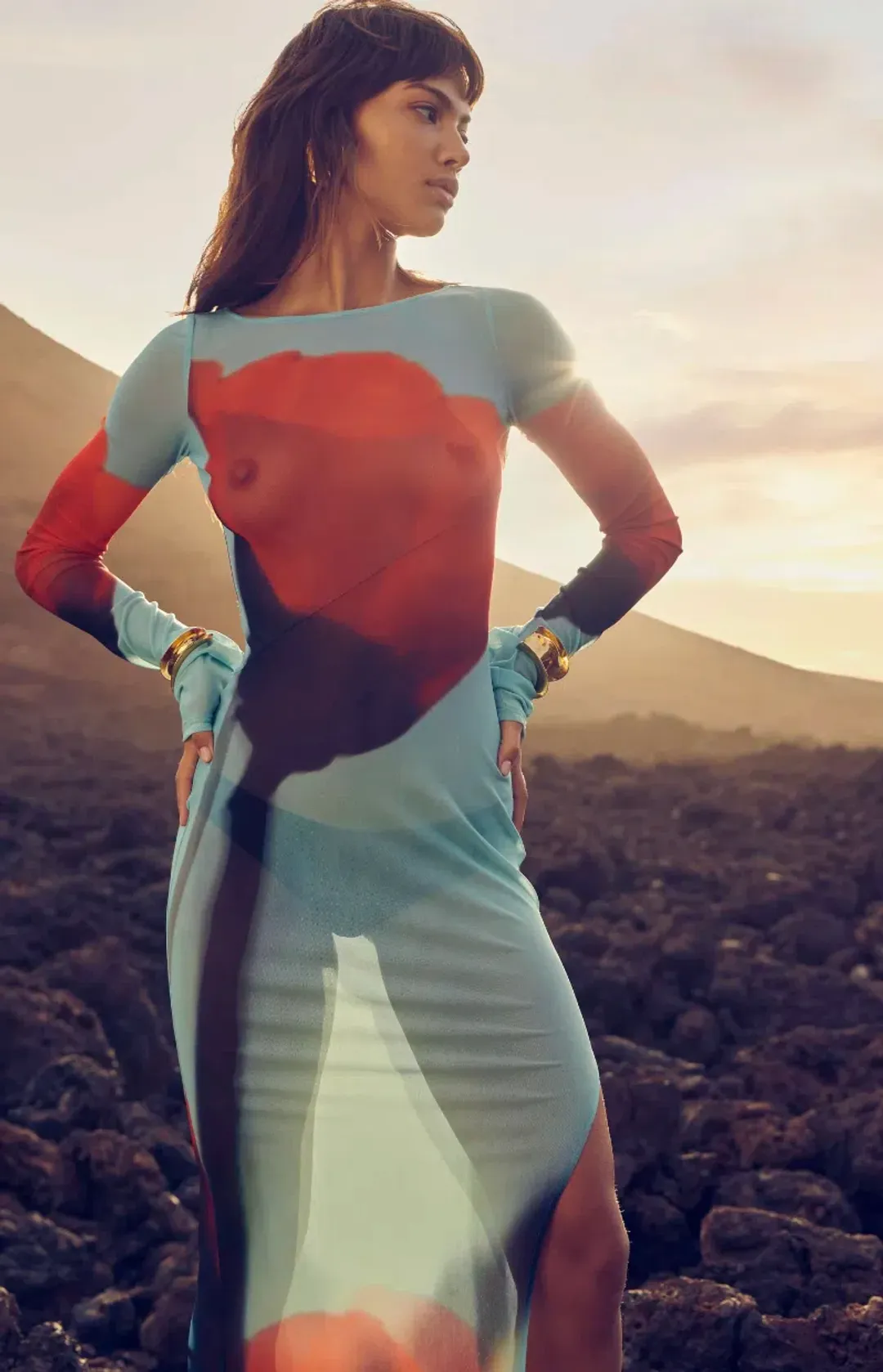 Rat & Boa Santino Mesh Dress Floral Size 10 for rent on The Volte - main image