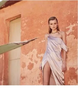 Maurie & Eve Noa Dress in Mushroom Size XS / AU 6 for rent on The Volte - image 4